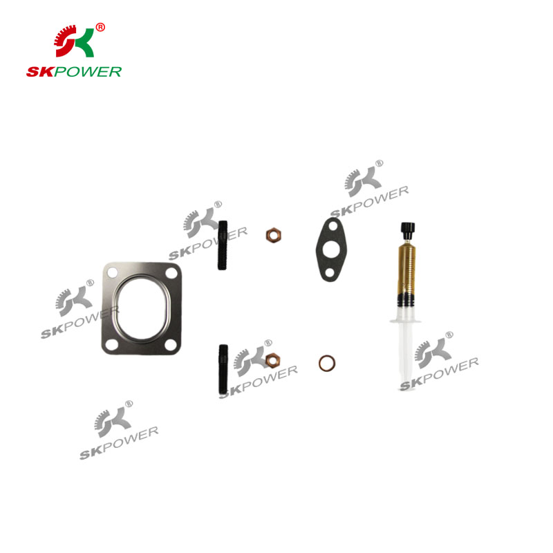 Gasket Kits770161