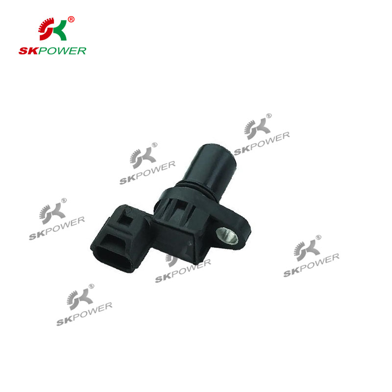 Camshaft Sensor 10207