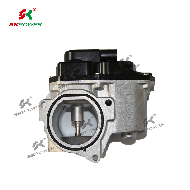 EGR Valves 100001 for SEAT LEON (1P1);VW TIGUAN (5N_)