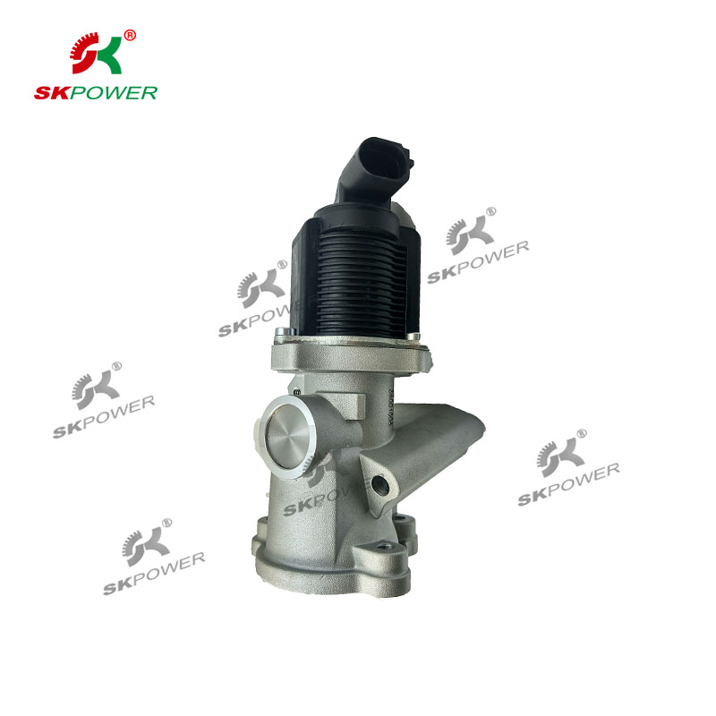 EGR Valves 300006 for FIAT 500 (312);LANCIA MUSA (350)